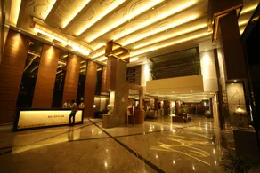 The Amayaa - Reception