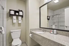 Baymont by Wyndham Henderson-Northeast Denver - Badeværelse