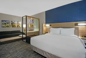 SpringHill Suites by Marriott St. Paul Arden Hills - Chambre