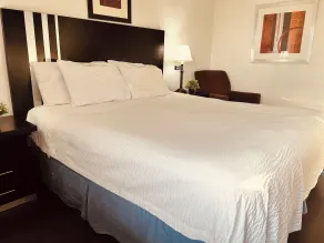 Travelodge by Wyndham Valleyfair Shakopee - Chambre