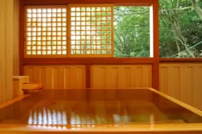 Hakone Tokinoshizuku - Bathroom