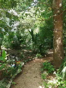 Mayan Bungalow Near Chichén - Recepción