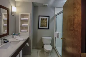 Holiday Inn Express Hotel & Suites Pell City by IHG - Salle de bain