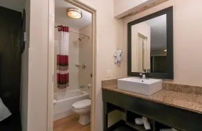Red Roof Inn PLUS+ Baltimore - Washington DC/BWI South - Bathroom