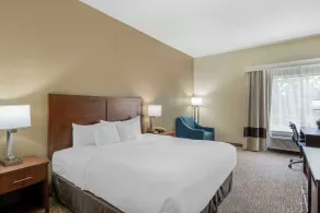 Comfort Inn & Suites La Grange - Louisville Area - Room