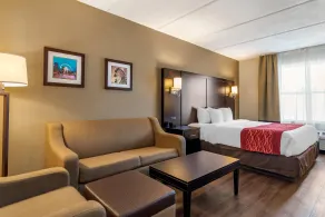 Comfort Inn & Suites near Six Flags - Chambre