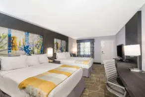 Days Inn by Wyndham Asheville Downtown North - Chambre