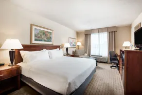Holiday Inn Johnstown-Gloversville by IHG - Chambre