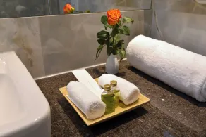 Best Western Plus Delta Park Hotel - Salle de bain