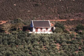 Orange Grove  - Vue de la chambre