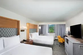 Holiday Inn Asheville East-Blue Ridge Pkwy by IHG - Rum