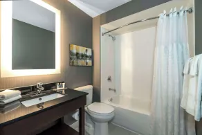 Comfort Inn South - Salle de bain