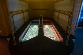 Aquaticum Debrecen Termal & Wellness Hotel - Pool