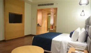 SRM Hotel Maraimalai Nagar Chennai - Room