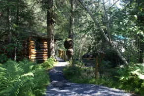 Alaska Creekside Cabins in Seward - Værelse