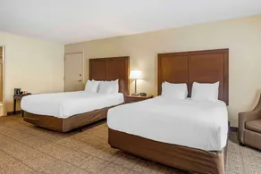 Comfort Suites East Lincoln - Mall Area - Chambre