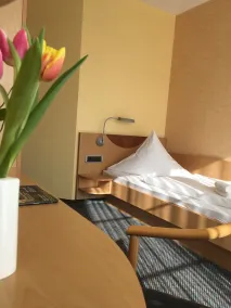 Warias Hotel am Geiseltalsee - Nähe Merseburg und Mücheln - Værelse