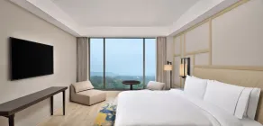 The Westin Goa - View from room