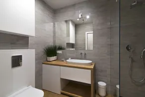 Green Apartments- Ericius Group - Salle de bain
