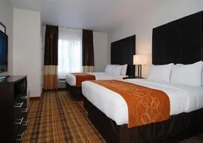 Comfort Suites Mandeville - Covington - Chambre