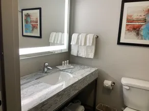 Crowne Plaza Nashville Airport by IHG - Salle de bain