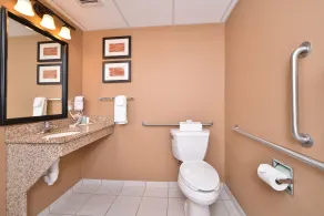 Comfort Inn Albert Lea at Trails Travel Center - Badeværelse