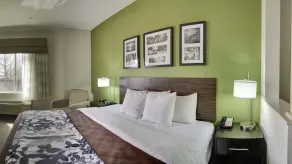Sleep Inn & Suites Columbus South - Chambre