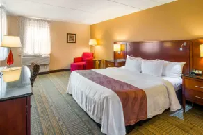 Quality Inn & Suites Virginia MN - Rom
