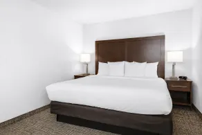 Comfort Suites Baymeadows Near Butler Blvd - Room