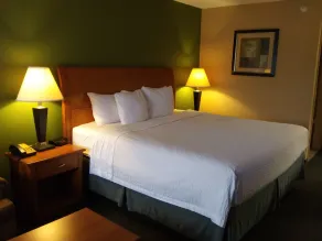 Hotel Blue Fairfield TX - Rom