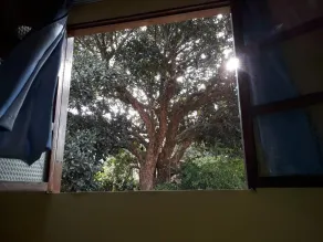 Casa da Trilha - Ausblick vom Zimmer