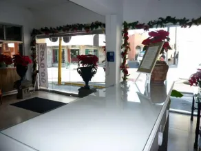 Hotel Bajo el Volcan - Hall