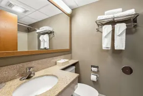 Best Western West Towne Suites - Salle de bain