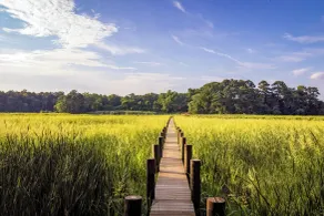 Creekside Nature Retreat on the Eastern Shore - Innvendig