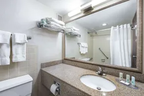 Quality Inn & Suites Albert Lea - Badeværelse