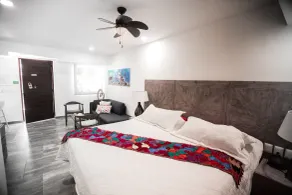 Hotel Paradise Suites - Chambre