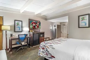 Red Roof Inn Gastonia - Rom