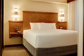 Hyatt Place Atlanta Buckhead - Rum