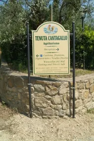 Agriturismo Tenuta Cantagallo - Rezeption