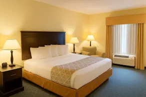 Ambassador Inn & Suites Tuscaloosa University I-20 - Chambre
