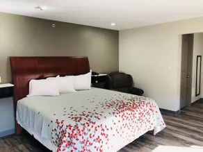 BEL AIR MOTEL - Room