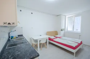 Apartment Tržaška with free parking - Habitación