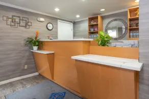 SOMA Park Inn - Réception
