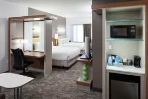 SpringHill Suites by Marriott Orlando at SeaWorld - Chambre
