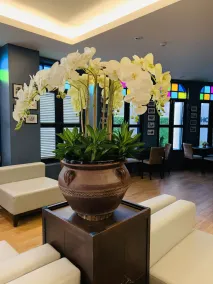 Baba House Phuket Hotel - Réception