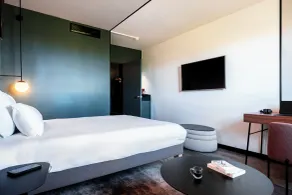 Novotel Atria Nimes Centre - Room