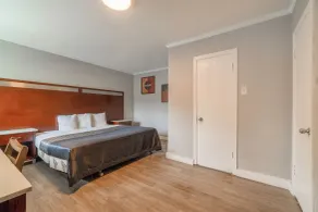Alamo Oasis Inn and Suites By OYO San Antonio - Værelse