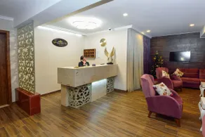 Hotel King David Bakuriani Mountain View - Reception