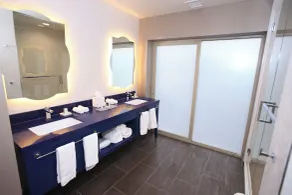 Hotel Indigo Naperville Riverwalk by IHG - Bad
