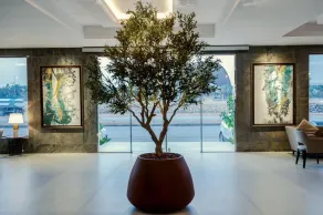 Viola Gardens Residence Serviced apartments - Reception